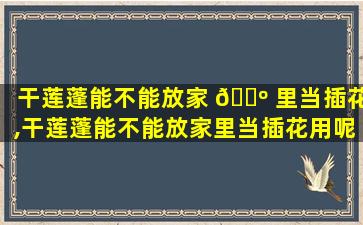 干莲蓬能不能放家 🐺 里当插花,干莲蓬能不能放家里当插花用呢